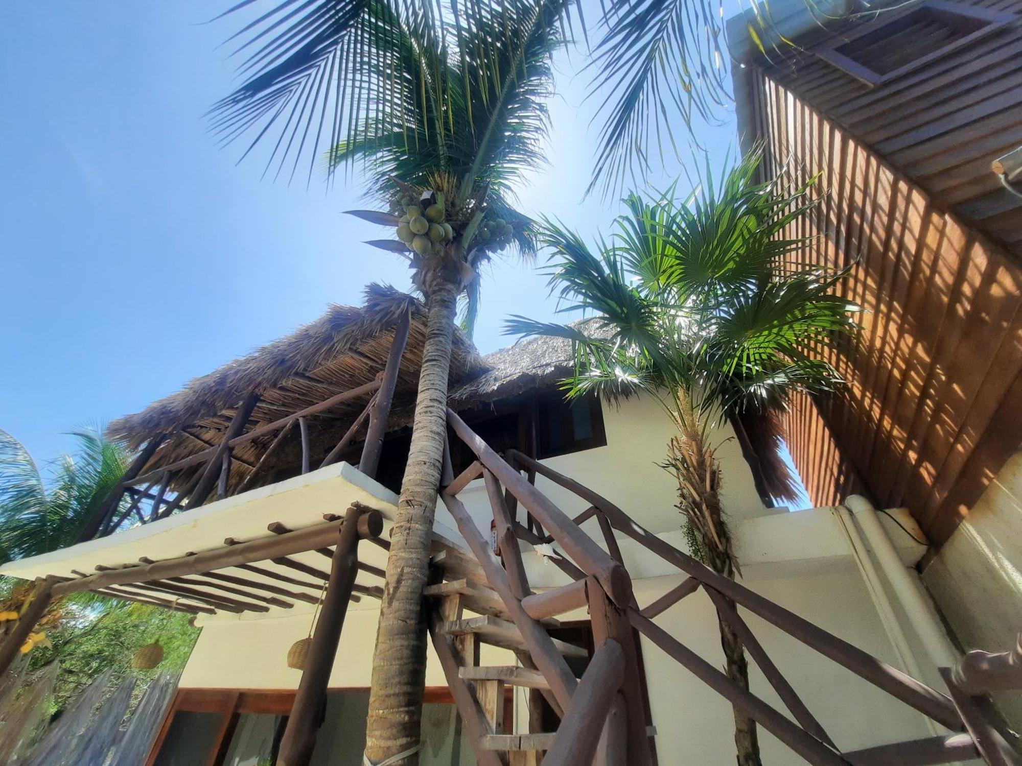 Casa Sofia Holbox Aparthotel Ngoại thất bức ảnh