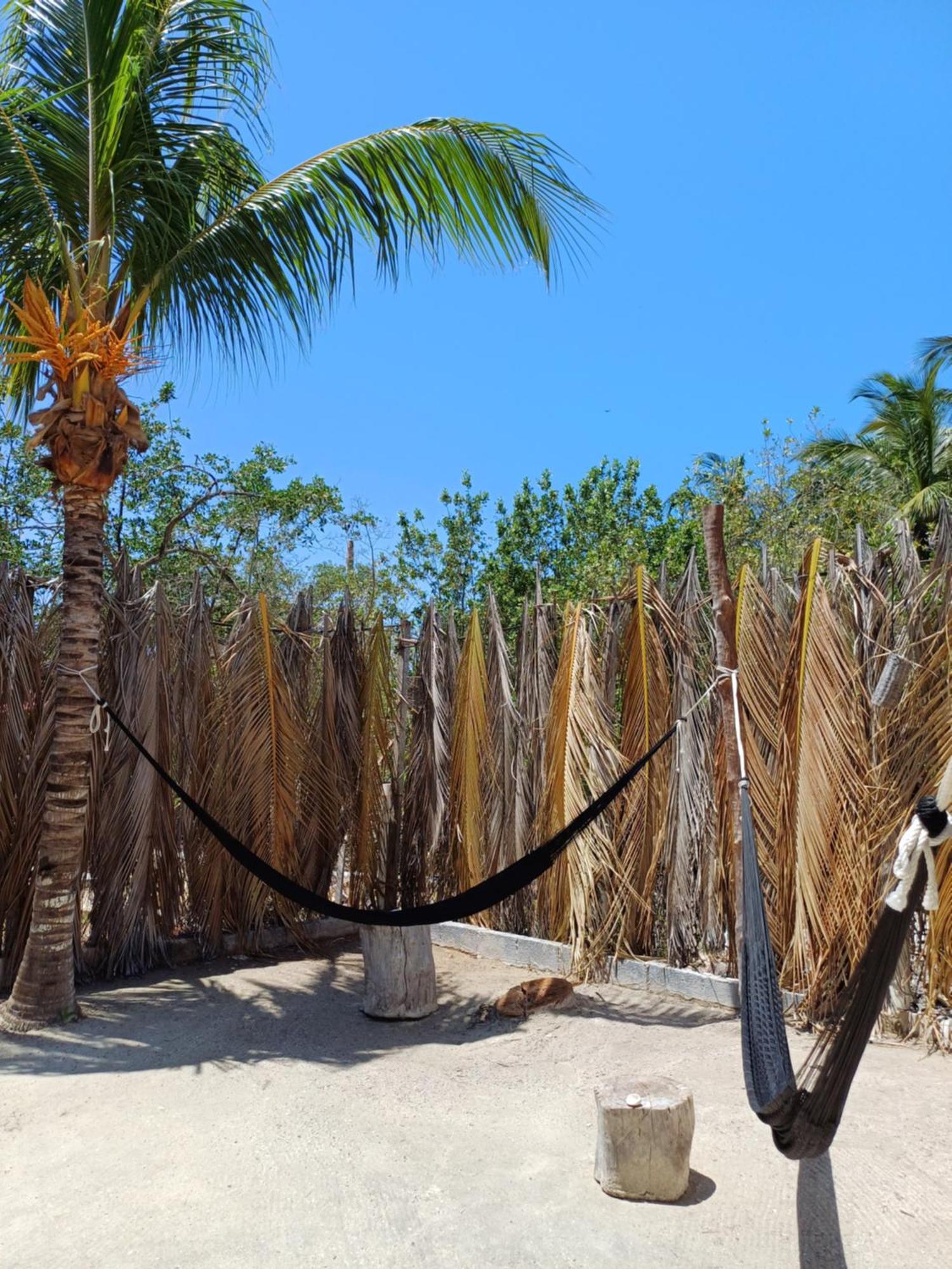 Casa Sofia Holbox Aparthotel Ngoại thất bức ảnh